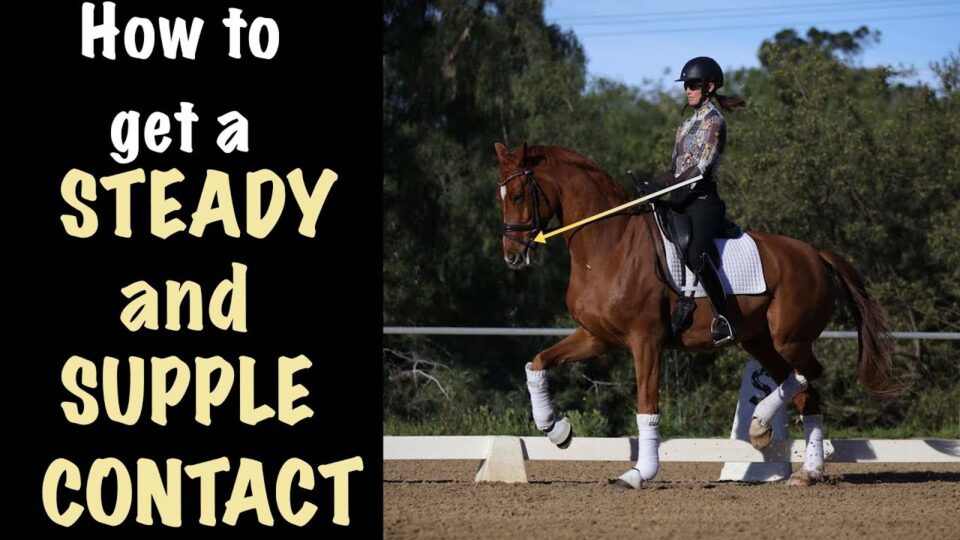 A person in riding gear is riding a brown horse with white wraps on its legs in a dressage arena, showcasing essential horse training for achieving steady contact. Text on the left reads, How to get a STEADY and SUPPLE CONTACT.