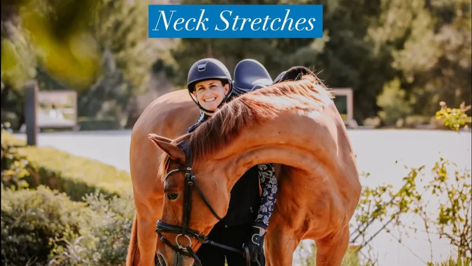 A smiling person in riding gear stands next to a brown horse bending its neck toward its side. The background features trees. Blue text at the top reads, “Neck Stretches,” highlighting pre-ride activations for both rider and horse.
