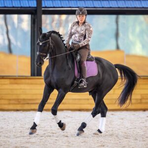 A person wearing a helmet and patterned shirt rides a dark horse with white leg wraps and a purple saddle pad inside an indoor riding arena with sandy footing and wooden walls.