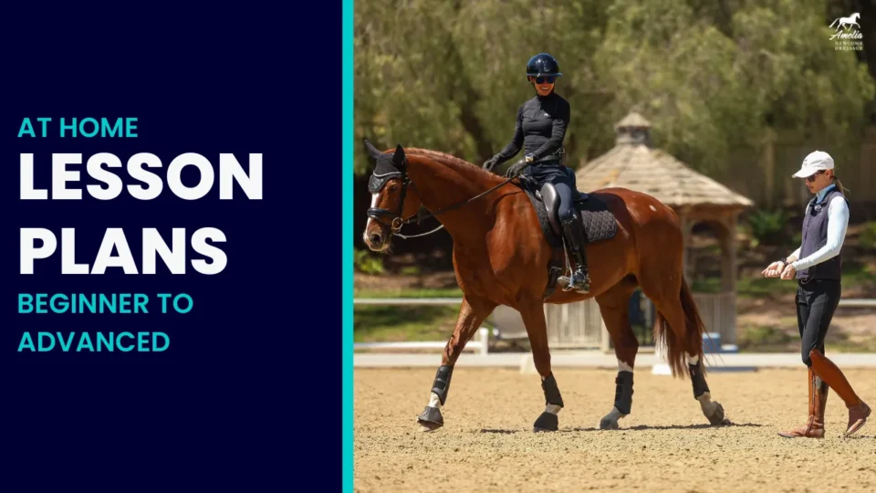A woman rides a brown horse in an outdoor arena while another person walks beside them. Text on the left reads At Home Riding Plans Novice to Advanced on a dark blue background.