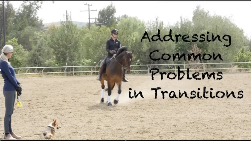 A person riding a horse in an outdoor arena, with trees and power lines in the background. Text on the image reads: Addressing common problems in transitions.