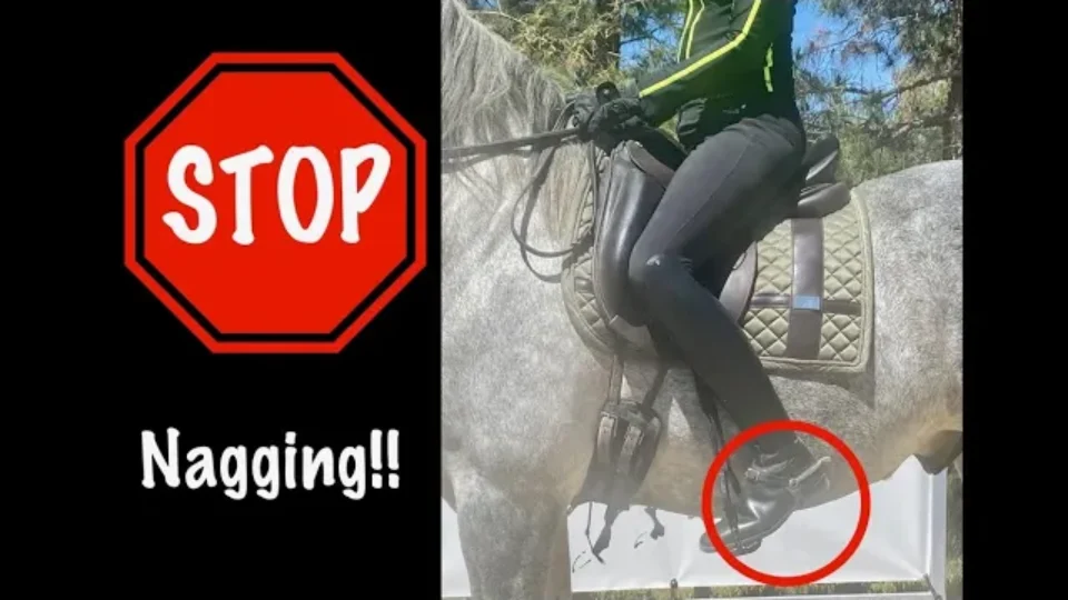 A red stop sign with the word STOP is shown next to a photo of a person riding a gray horse. The rider’s lower leg and foot are circled in red to highlight horse training mistakes. Below, the words “Stop Nagging!!” appear in bold white text.