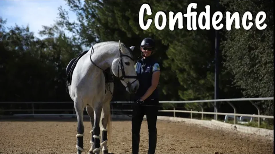 A person in riding gear stands beside a white horse in an outdoor arena, with trees in the background. The word Confidence is written in large white letters, highlighting key horse confidence tips for riders and ways to build confidence with your horse.