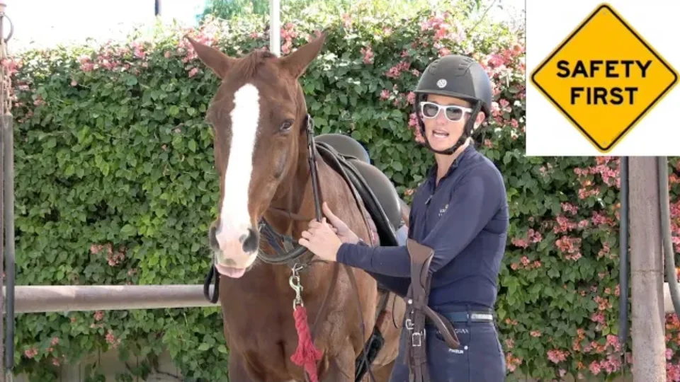 A person in riding gear stands beside a brown horse with a white blaze. A Safety First sign reminds everyone of the importance of safety, while flowering bushes add color to the background.