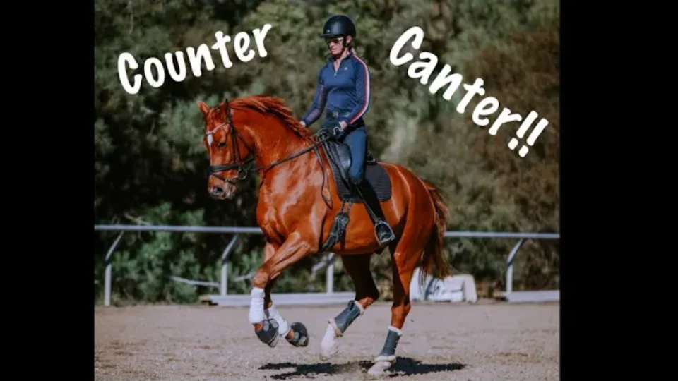 A person wearing a helmet and riding gear is performing a counter canter on a chestnut horse in an outdoor arena. The words “Counter Canter!!” appear across the top of the image in white, playful letters.