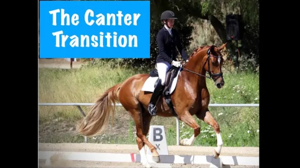 A rider in formal attire is riding a chestnut horse in an outdoor arena, demonstrating the trot canter transition. Text on the image reads, The Canter Transition. Trees and greenery are visible in the background.