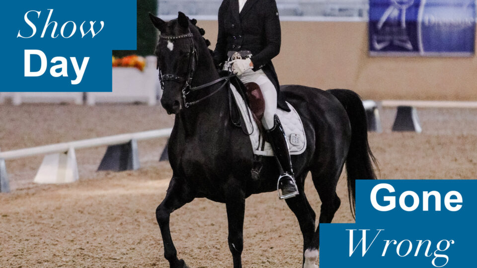A rider on a black horse in an indoor arena, wearing formal riding attire, faces unexpected competition mishaps. Text on the image reads: Show Day Gone Wrong.