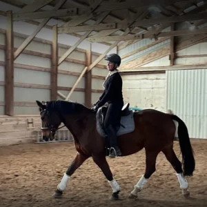 A person wearing a helmet rides a brown horse with white leg wraps in an indoor riding arena with wooden walls and sandy ground.