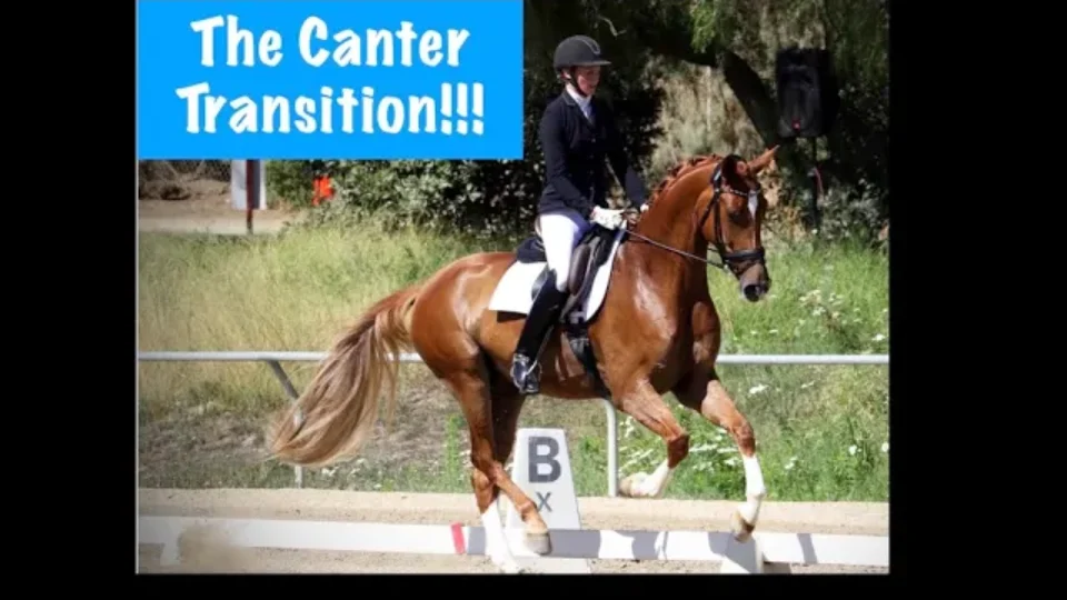 A rider in equestrian gear is guiding a chestnut horse past a B marker in a dressage arena, demonstrating a smooth canter transition. The text The Canter Transition!!! appears in a blue box at the top left.