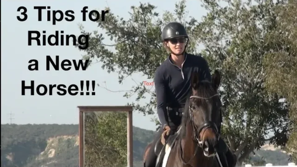 tips for riding a new horse