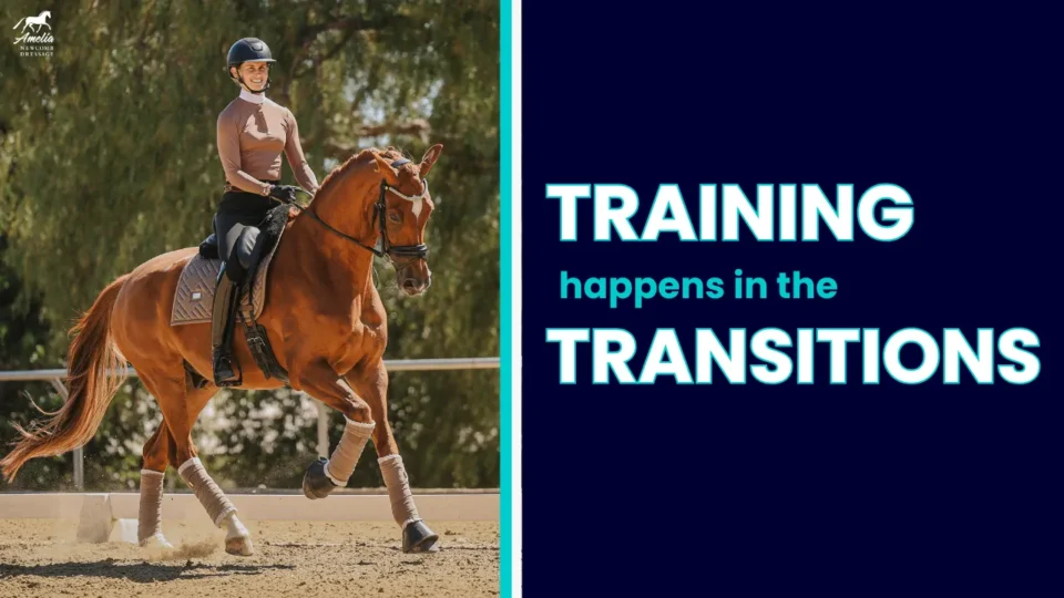 A person rides a chestnut horse in an outdoor arena on the left; on the right, bold text reads, TRAINING happens in responsive transitions against a dark blue background.