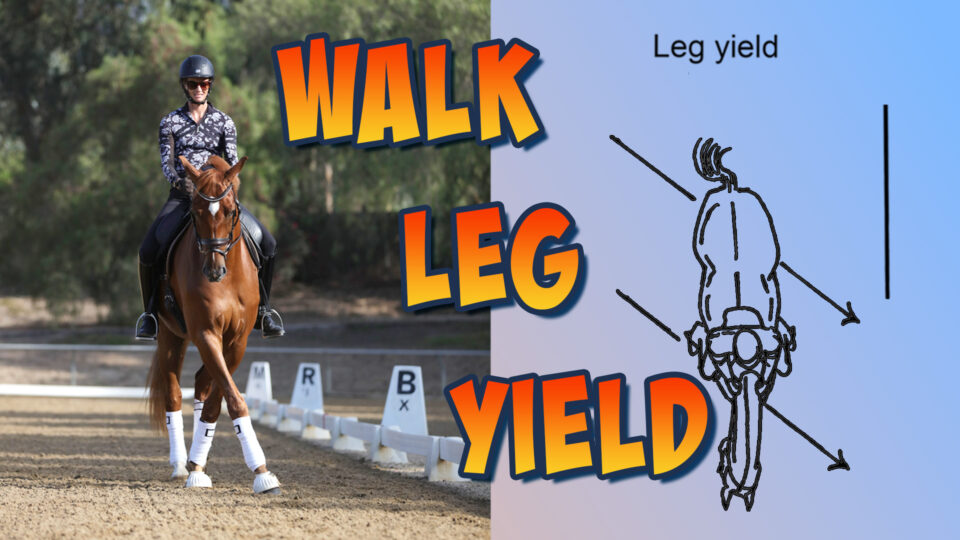 A rider in a helmet and patterned shirt performs walk leg-yields on a chestnut horse in an arena, demonstrating suppleness. Next to them is a diagram of the leg yield movement, with bold text reading WALK LEG YIELD.