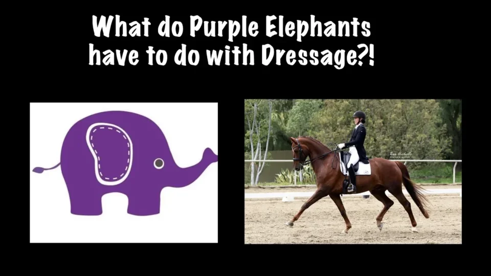 what does the purple elephant have to do with dressage